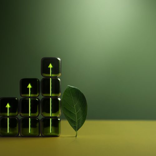 assistante indépendante missions transversales default 1